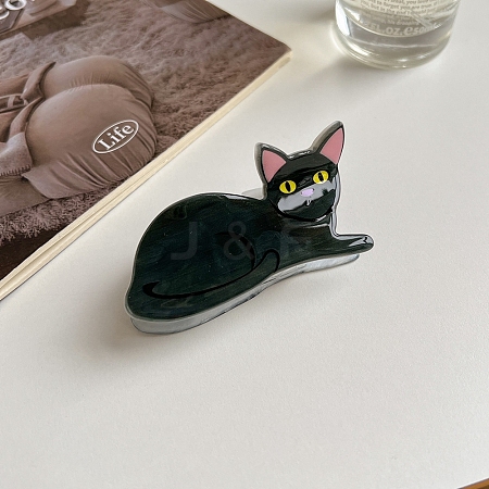 Acrylic Claw Hair Clips PW-WG49337-01-1