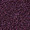 MIYUKI Round Rocailles Beads SEED-X0054-RR0313-3