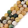 Natural Weathered Agate Beads Strands G-Q606-42B-D03-2