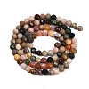 Natural Alashan Agate Beads Strands G-C181-B05-03-5