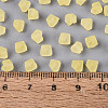 FGB Frosted Transparent Glass Seed Beads SEED-N013-03A-02-4