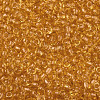 Glass Seed Beads X2-SEED-A004-3mm-2-2