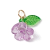 Acrylic Charms PALLOY-JF03079-3