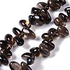 Natural Smoky Quartz Beads Strands G-B072-D01-02-2