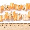 Dyed Natural Trochus Shell Beads Strands SSHEL-C013-09C-4