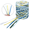 6 Colors Raffia Paper Cords OCOR-WH0063-110C-1