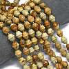 Natural Picture Jasper Beads Strands G-K389-D28-01-2