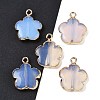 Opalite Pendants G-P566-01G-03-1