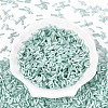 Glass Bugle Beads X-SEED-N007-28F-2