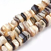 Freshwater Shell Beads Strands BSHE-O017-09-1