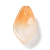 Two Tone Glass Pendants LS-GLAA-A011-02C-1