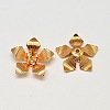 5-Petal Flower Brass Bead Caps KK-L137-07G-NR-2