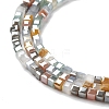 Gradient Color Electroplate Glass Bead Strands GLAA-E042-05-B05-4