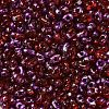 Spray Painted Glass Seed Beads SEED-F005-06A-03-3