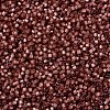 MIYUKI Delica Beads SEED-X0054-DB2179-3