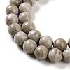 Natural Rainbow Alashan Agate Beads Strands G-NH0022-A09-02-4