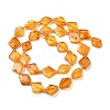 Natural Amber Beads Strands G-Z106-D01-02-5