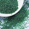 MIYUKI Round Rocailles Beads SEED-X0054-RR0173-1