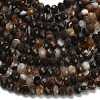 Natural Banded Agate Beads Strands G-Z111-A01-03-4