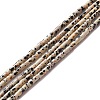 Natural Dalmatian Jasper Beads Strands G-A201-B12-1