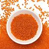FGB 8/0 Grade A Round Glass Seed Beads SEED-Q006-3mm-F06-2