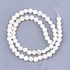 Freshwater Shell Beads Strands SHEL-S276-15B-2