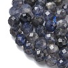 Natural Iolite/Cordierite/Dichroite Beads Strands G-L651-C03-6mm-4