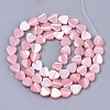 Natural Trochid Shell/Trochus Shell Beads Strands SSHEL-T012-05-2