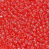 TOHO 6/0 Round Beads SEED-TR06-0109-3