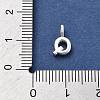 925 Sterling Silver with Cubic Zirconia Charms STER-Q004-01Q-S-3