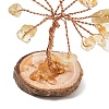 Natural Yellow Quartz Chips Tree of Life Decorations GG-CBAEDF6-01L-3