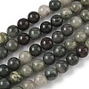 Natural Green Line Jasper Beads Strands G-G735-55-8mm-2