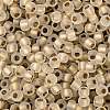 TOHO Round Seed Beads SEED-JPTR08-0989FM-2