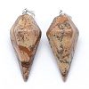 Natural Picture Jasper Pointed Pendants KK-E757-F-10P-1