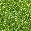 MIYUKI Round Rocailles Beads X-SEED-G007-RR3739-2