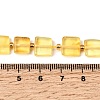Natural Amber Beads Strands G-C260-A01-04-5
