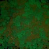 Luminous Transparent Acrylic Beads LACR-D009-01H-3