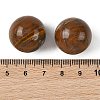 Natural Tiger Iron Sphere Beads GG-D003-A03-3
