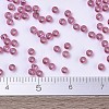 MIYUKI Round Rocailles Beads SEED-X0054-RR1338-4