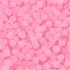 FGB Frosted Transparent Glass Seed Beads SEED-N013-03A-05-3