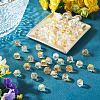 60Pcs 2 Colors Electroplate Glass Beads EGLA-TADJ0001-19C-5