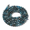 Natural Apatite Beads Strands G-K185-02-3mm-01-9