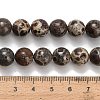 Natural Astroite Jasper Beads Strands G-H329-C02-10mm-5