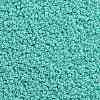 TOHO Round Seed Beads X-SEED-TR11-0920-2