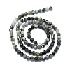 Natural Hawk's Eye Beads Strands G-P457-A03-06-3