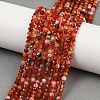 Natural Banded Agate Beads Strands G-P553-G09-03-1