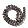 Freshwater Shell Beads Strands BSHE-L039-08B-10-2