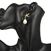 Teardrop Shell Pearl Bead Stud Earrings EJEW-JE07105-01-2