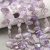 Natural Amethyst Beads Strands G-P604-A09-01-1