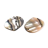 Natural Paua Shell Pendants X-SHEL-T020-11A-2